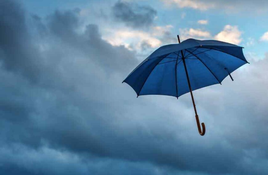 The 9 Best Travel Umbrellas